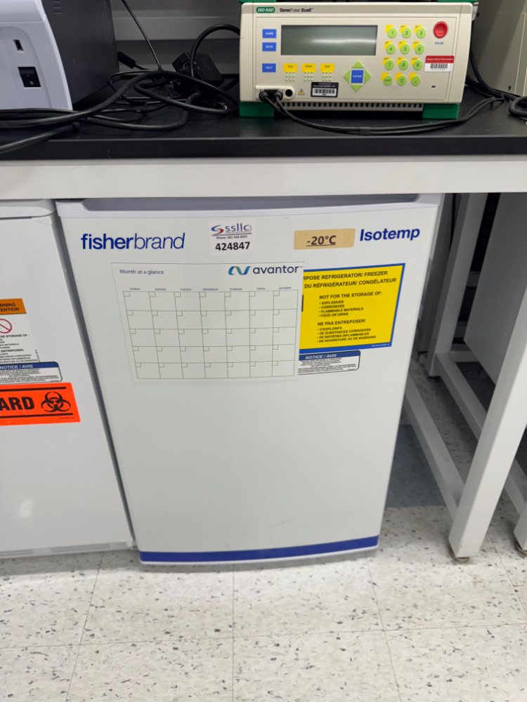 Image of Fisherbrand Isotemp Undercounter Freezer